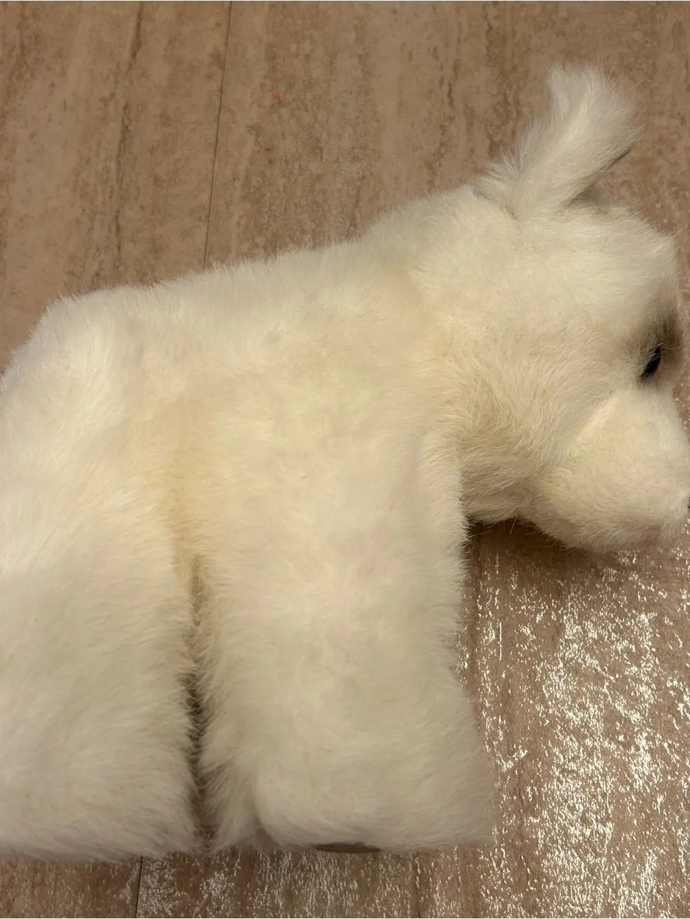 Vintage Steiff Cozy Issy Polar Bear Plush Tag Earred Button 0437/23 7 1/2”
